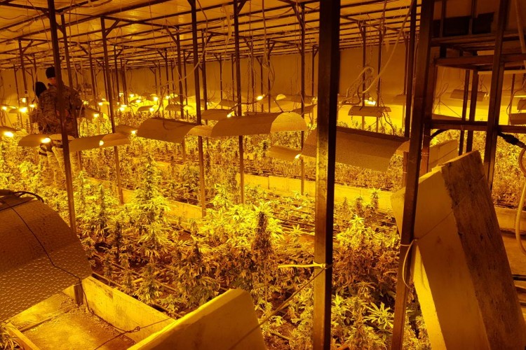 OPERATION OF PROSECUTOR’S OFFICE OF BIH, SIPA AND RS MINISTRY OF INTERIOR IN FIGHT AGAINST SMUGGLING OF DRUGS IN BIJELJINA AREA; LABORATORY WITH SPECIAL AIR-CONDITIONING AND TECHNICAL CONDITIONS FOR GROWING MARIJUANA – ‘SKUNK’ DISCOVERED