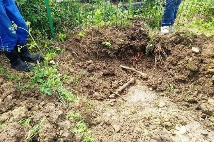 NA EKSHUMACIJI NA LOKALITETU CAREVO POLJE, U OPĆINI JAJCE, PRONAĐENI POSMRTNI OSTACI NAJMANJE DVА LICA