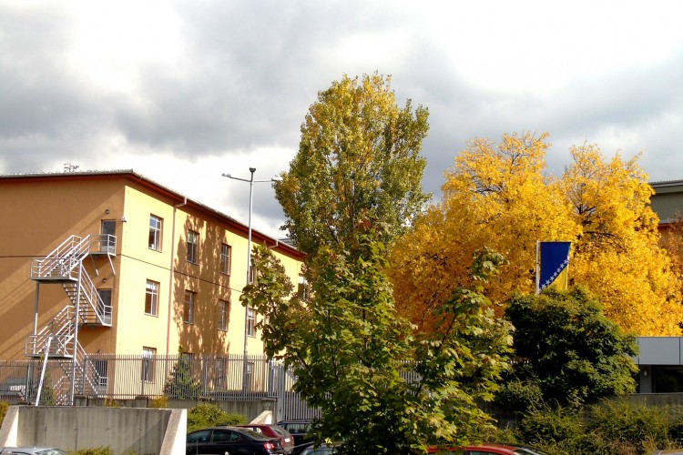 ПОДИГНУТА ОПТУЖНИЦА ПРОТИВ ДРЖАВЉАНИНА АВГАНИСТАНА, ЗБОГ КРИЈУМЧАРЕЊА ИЛЕГАЛНИХ МИГРАНАТА СА ПОДРУЧЈА СРБИЈЕ У БиХ