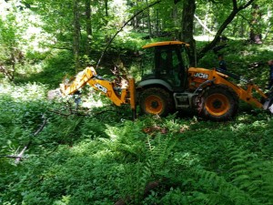 MORTAL REMAINS OF AT LEAST TEN PERSONS FOUND SO FAR DURING EXHUMATION ON MOUNT IGMAN