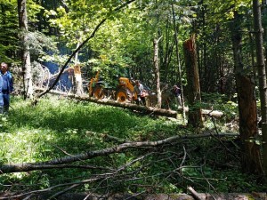 ZAVRŠENO ISKOPAVANJE NA PRVOJ LOKACIJI; PRONAĐENI POTPUNI POSMRTNI OSTACI 12 OSOBA TIJEKOM EKSHUMACIJE NA PLANINI IGMAN.