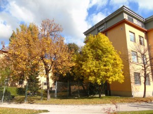 ПОДИГНУТА ОПТУЖНИЦА ЗА ЗЛОЧИН ПРОТИВ ЧОВЈЕЧНОСТИ НА ПОДРУЧЈУ ПРИЈЕДОРА