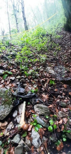 SITE WITH MORTAL REMAINS OF SEVERAL PERSONS FOUND IN VLAŠIĆ; PROSECUTOR OF PROSECUTOR’S OFFICE COORDINATES FIELD ACTIVITIES