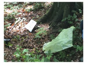 EXHUMATION AT KAMENIČKO BRDO SITE IN BRATUNAC