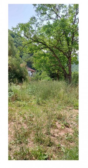 EXHUMATION UNDERWAY IN SREBRENICA AREA, SUPERVISED BY BIH PROSECUTOR’S OFFICE