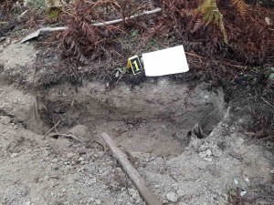 EXHUMATION CARRIED OUT IN BRATUNAC AREA UNDER SUPERVISION OF PROSECUTOR’S OFFICE OF BIH