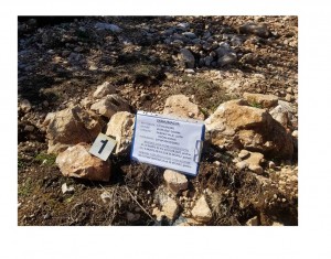 THE REMAINS OF A VICTIM FROM THE PAST WAR FOUND AT THE EXHUMATION AT THE LOCATION OF LJUTA - KONJIC MUNICIPALITY