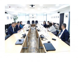 CHIEF PROSECUTOR AND OFFICIALS FROM SPECIAL DEPARTMENT FOR WAR CRIMES MEET WITH COLLEGIUM OF DIRECTORS OF BIH MISSING PERSONS INSTITUTE AND REPRESENTATIVES OF INTERNATIONAL COMMISSION ON MISSING PERSONS (ICMP) IN BIH