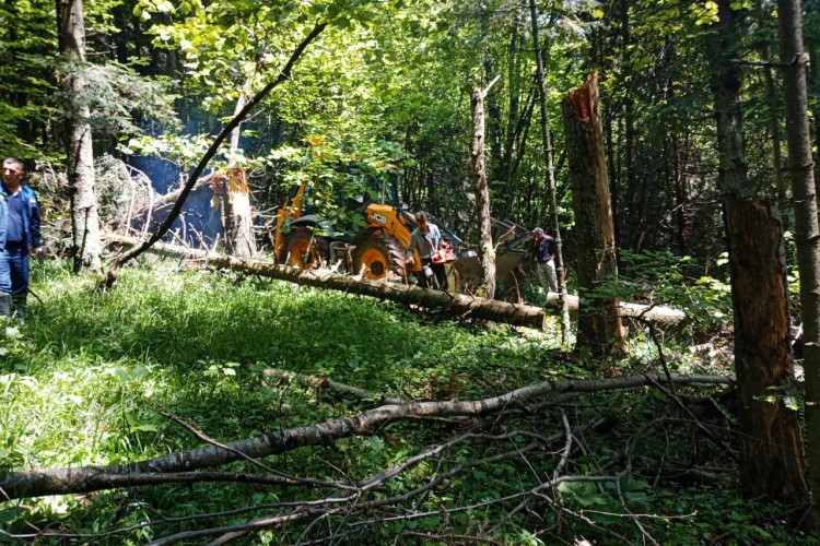 MORTAL REMAINS OF AT LEAST TEN PERSONS FOUND SO FAR DURING EXHUMATION ON MOUNT IGMAN