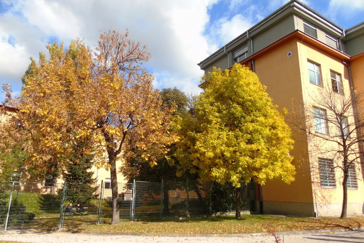 ПОДИГНУТА ОПТУЖНИЦА ЗА ЗЛОЧИН ПРОТИВ ЧОВЈЕЧНОСТИ НА ПОДРУЧЈУ ПРИЈЕДОРА