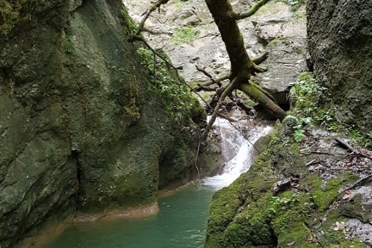 POD NADZOROM TUŽITELJSTVA BiH PROVODI SE EKSHUMACIJA NA LOKALITETU DUBOKI POTOK, OPĆINA KNEŽEVO
