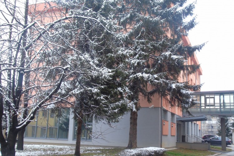 ОПТУЖЕНА ЗА МЕЂУНАРОДНО НАВОЂЕЊЕ НА ПРОСТИТУЦИЈУ СПОРАЗУМНО ПРИЗНАЛА КРИВИЦУ