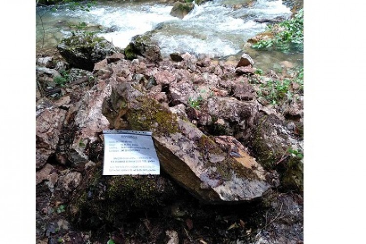 PROSECUTOR’S OFFICE OF BIH CONTINUES ACTIVITIES ON FINDING MORTAL REMAINS IN DOBRO POLJE, KALINOVIK MUNICIPALITY