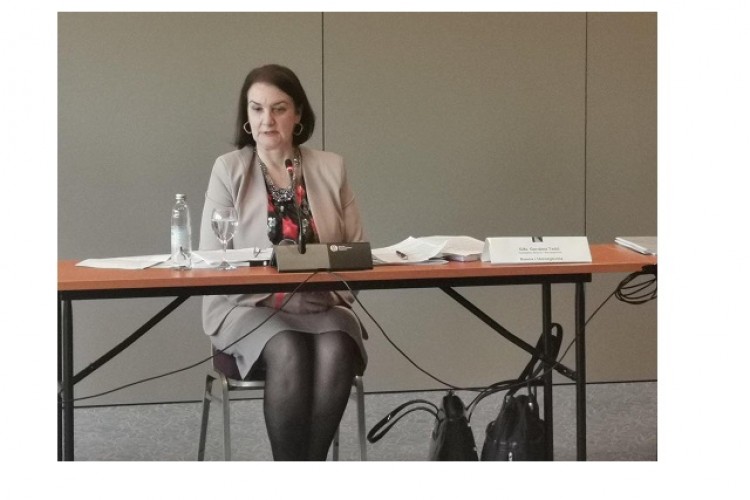 ВСТС И ТУЖИЛАШТВО БиХ - ПРОЦЕСУИРАЊЕ ПРЕДМЕТА КРИВИЧНИХ ДЈЕЛА КОРУПЦИЈЕ, ОРГАНИЗОВААНОГ КРИМИНАЛА И РАТНИХ ЗЛОЧИНА БИЛИ СУ У ФОКУСУ РАДА ЗАЈЕДНИЧКОГ САСТАНКА