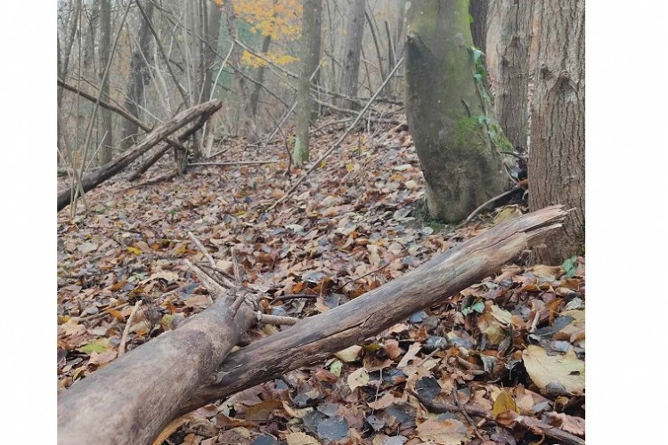 НА ПОДРУЧЈУ БРАТУНЦА ПРОВЕДЕН ПРОЦЕС ЕКСХУМАЦИЈЕ