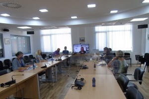 ONLINE MEETING OF THE TASK FORCE FOR FIGHT AGAINST TRAFFICKING IN HUMAN BEINGS AND ORGANISED ILLEGAL IMMIGRATION